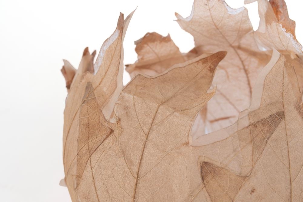Artwork by Kay Sekimachi, Leaf Bowl Sculpture, Made of Maple leaves and paper
