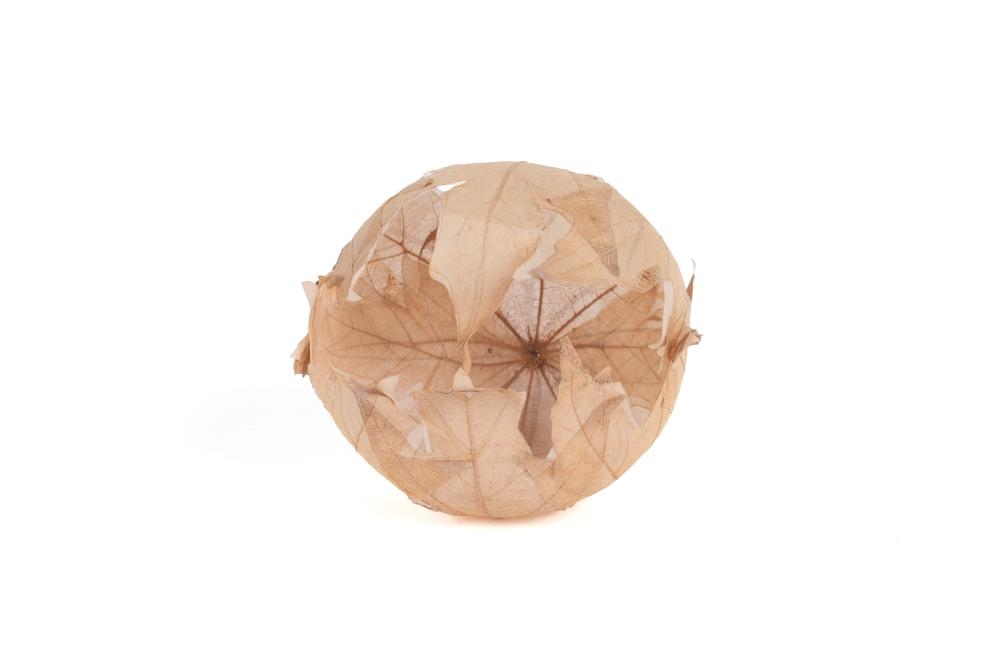 Artwork by Kay Sekimachi, Leaf Bowl Sculpture, Made of Maple leaves and paper