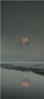 Nadav Kander: After Dark - Flowers, London (Cork Street)