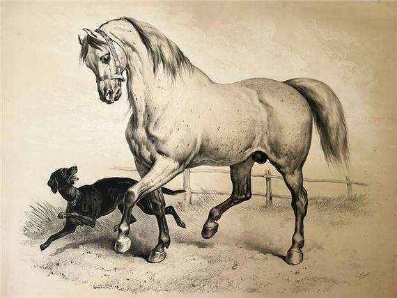 PERCHERON-BOULONAIS by Victor Adam, 19th century