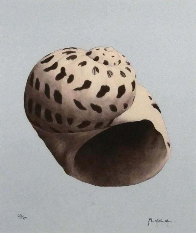 John Matthew Moore | Shell Giclees | MutualArt