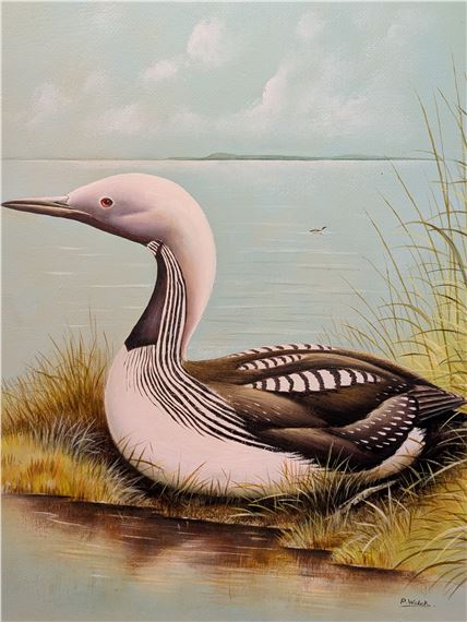 A Collection Of Three Ornithological Paintings - P. Welch