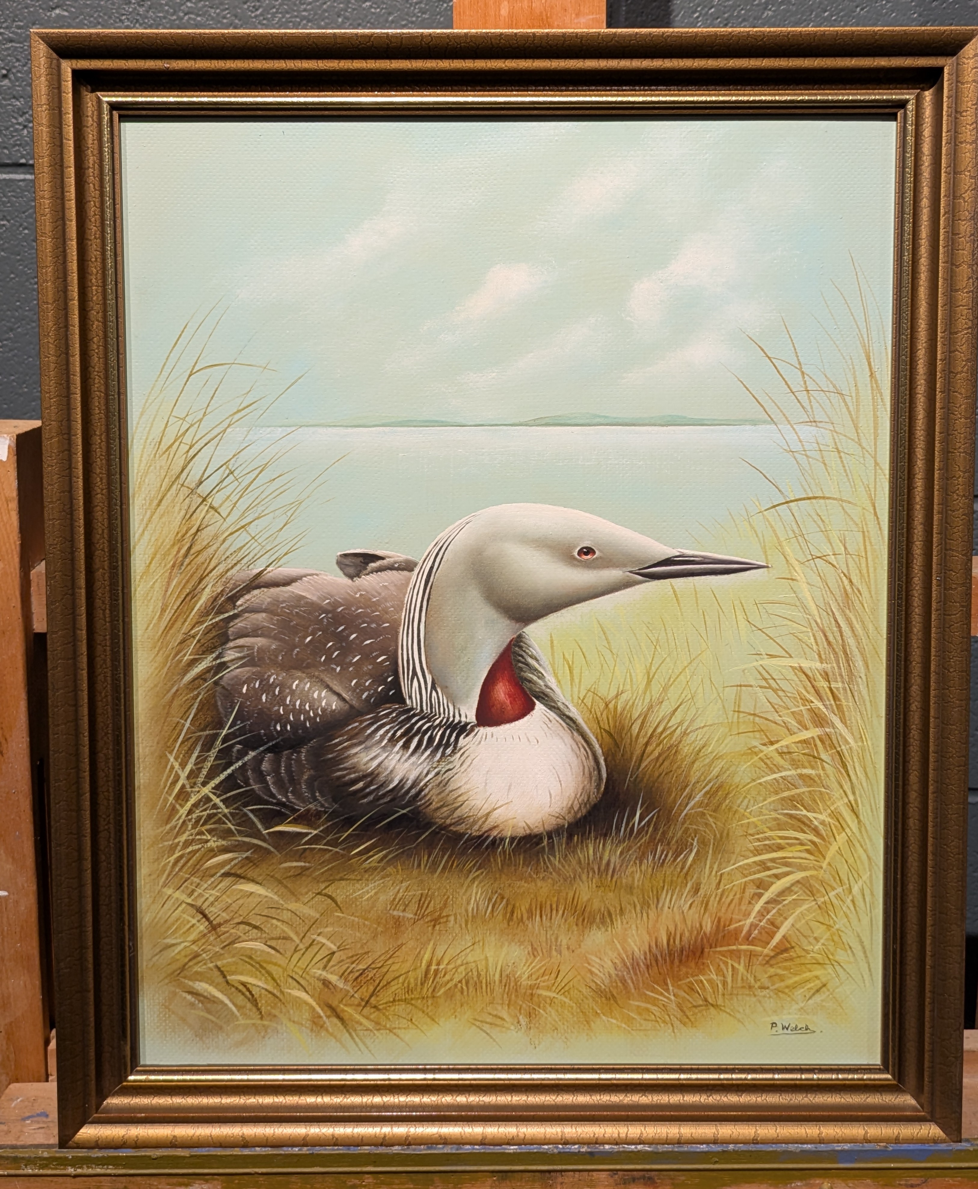 Artwork by P. Welch, A Collection Of Three Ornithological Paintings, Made of oil on board