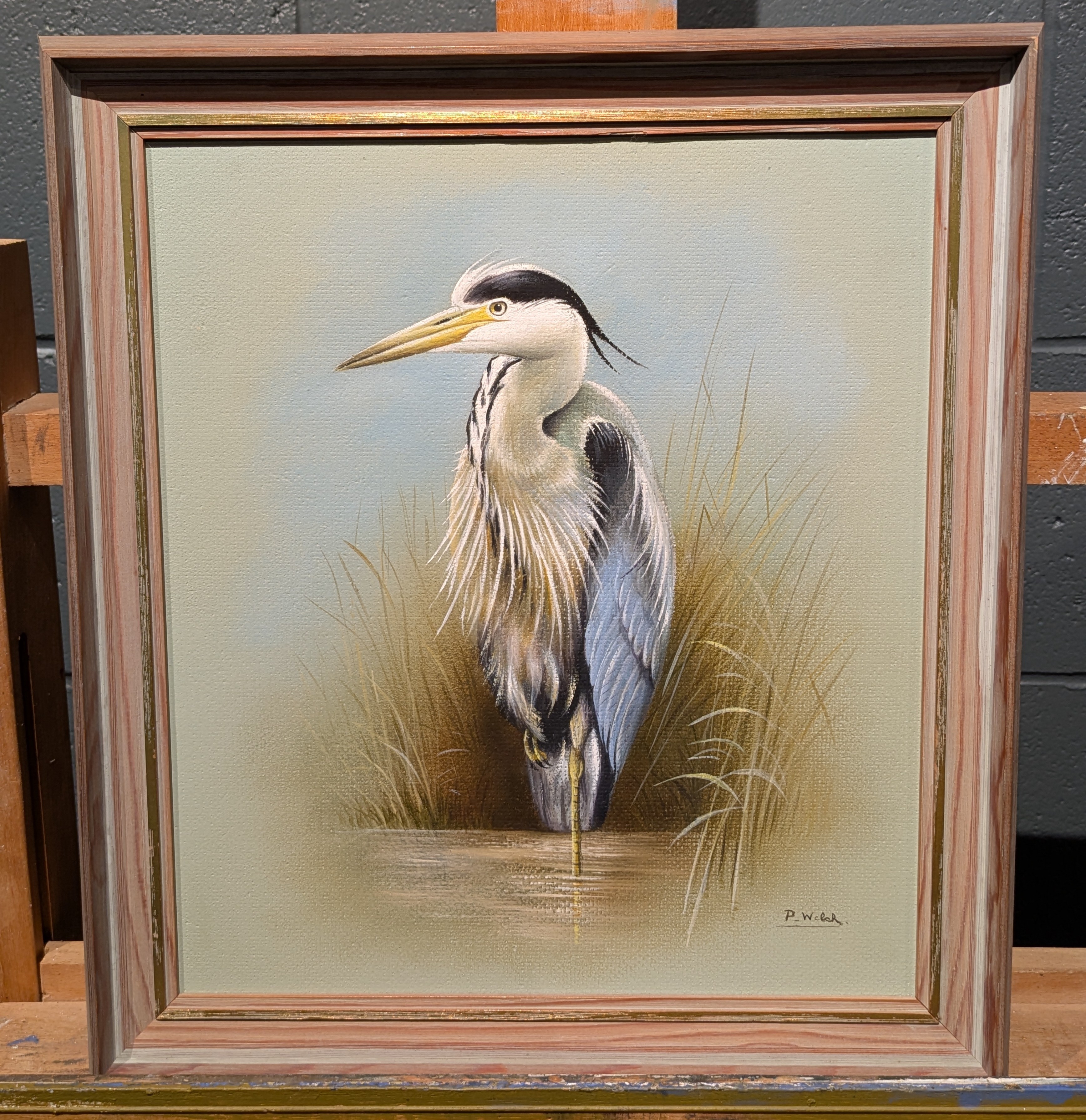 Artwork by P. Welch, A Collection Of Three Ornithological Paintings, Made of oil on board