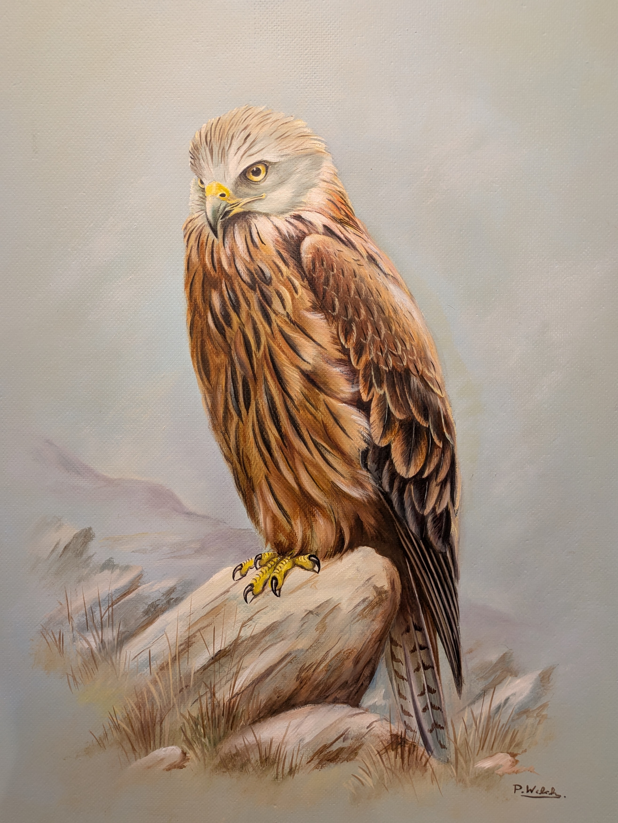 Artwork by P. Welch, A Collection Of Four Ornithological Oil Paintings, Made of oil on board