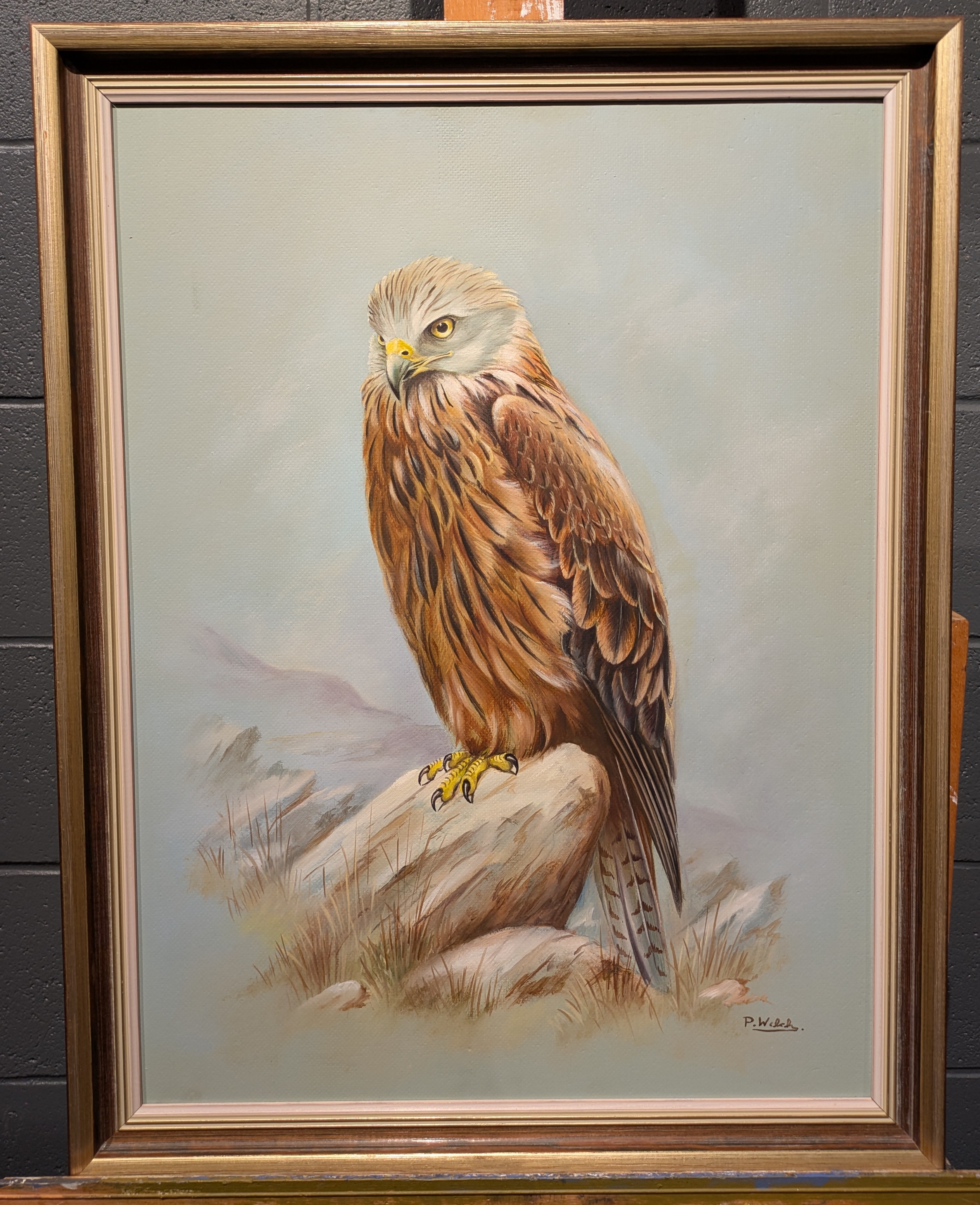 Artwork by P. Welch, A Collection Of Four Ornithological Oil Paintings, Made of oil on board