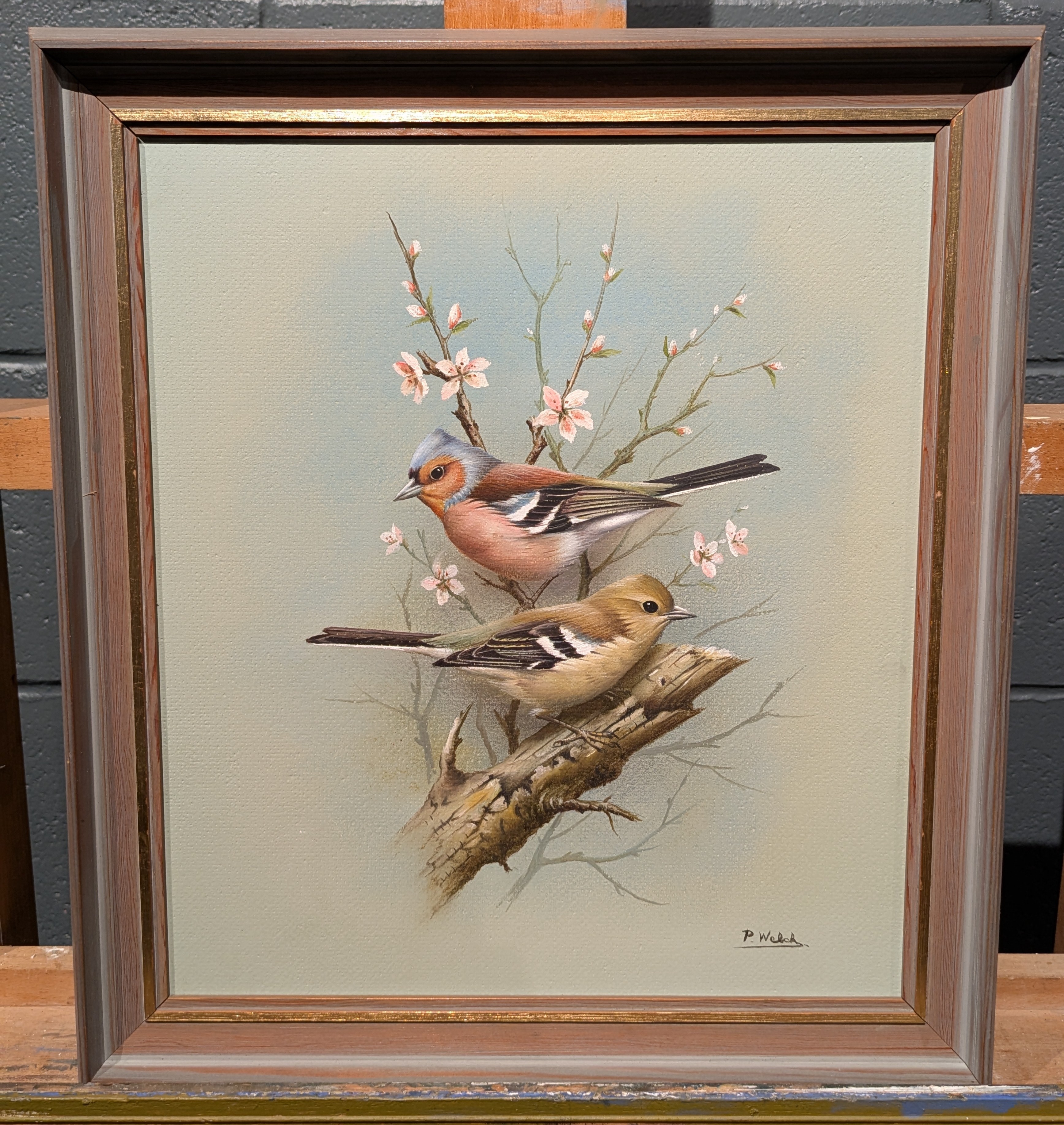 Artwork by P. Welch, A Collection Of Four Ornithological Oil Paintings, Made of oil on board