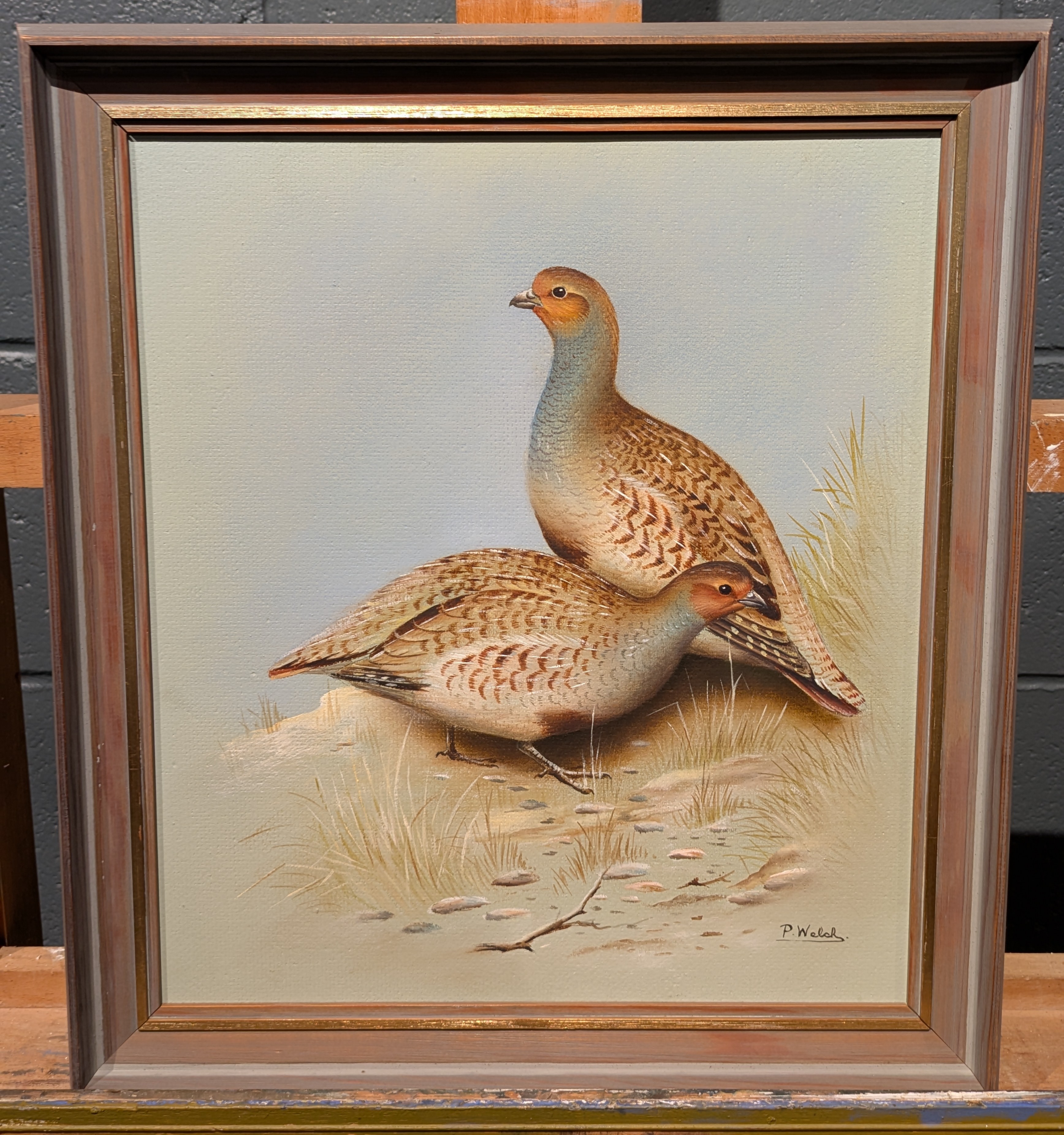 Artwork by P. Welch, A Collection Of Four Ornithological Oil Paintings, Made of oil on board