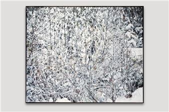 Summer Group Show - Equinox Gallery