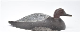 Redhead hen - Dan Bartlett