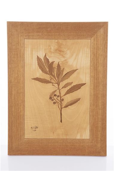 Blueberry Ash - Michael Retter