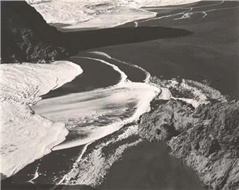 Edward Weston: The Matter of Shapes - Fundación MAPFRE, Madrid Recoletos