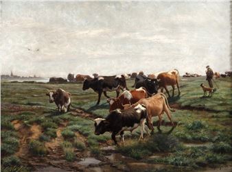 Kühe im Warnowmoor - Max Stahlschmidt