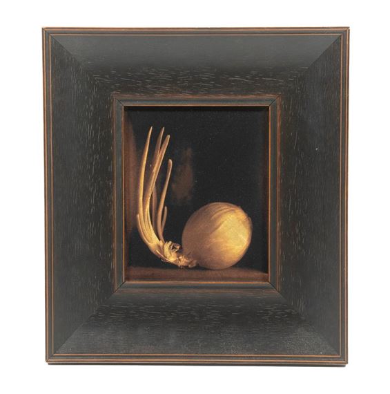 Sprouting Onion by Kate Breakey