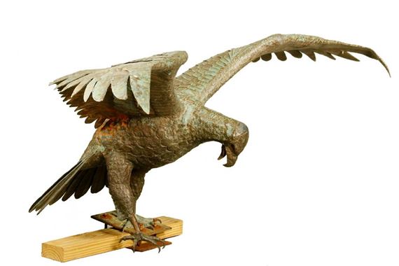 American Eagle Attacking by Gordon Brott