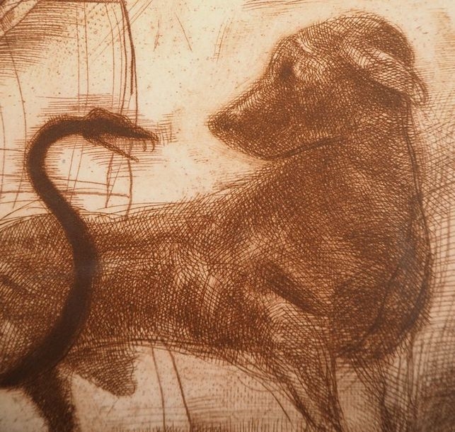 Artwork by Miguel Condé, Veterinarian, friend of animals, Made of Original etching