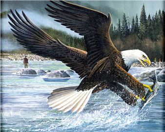 Bald Eagle Fishing - Keith Warrick