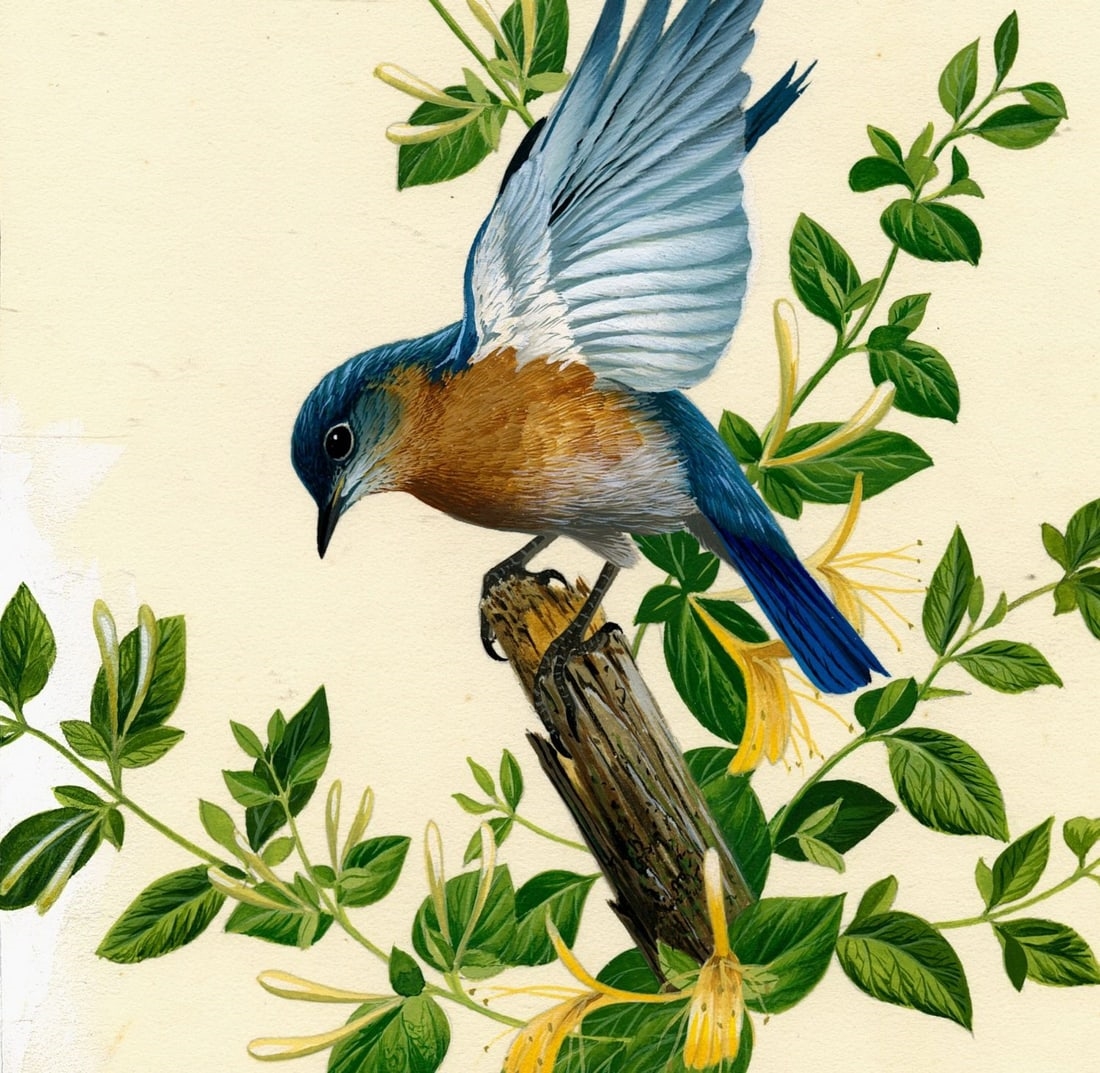 Anthony J. Rudisill | Bluebird | MutualArt