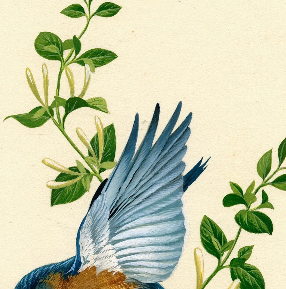 Anthony J. Rudisill | Bluebird | MutualArt