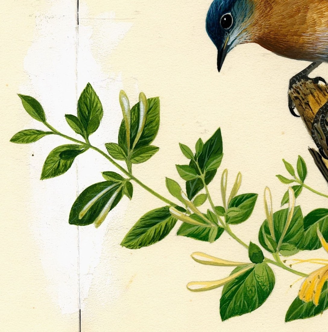 Anthony J. Rudisill | Bluebird | MutualArt