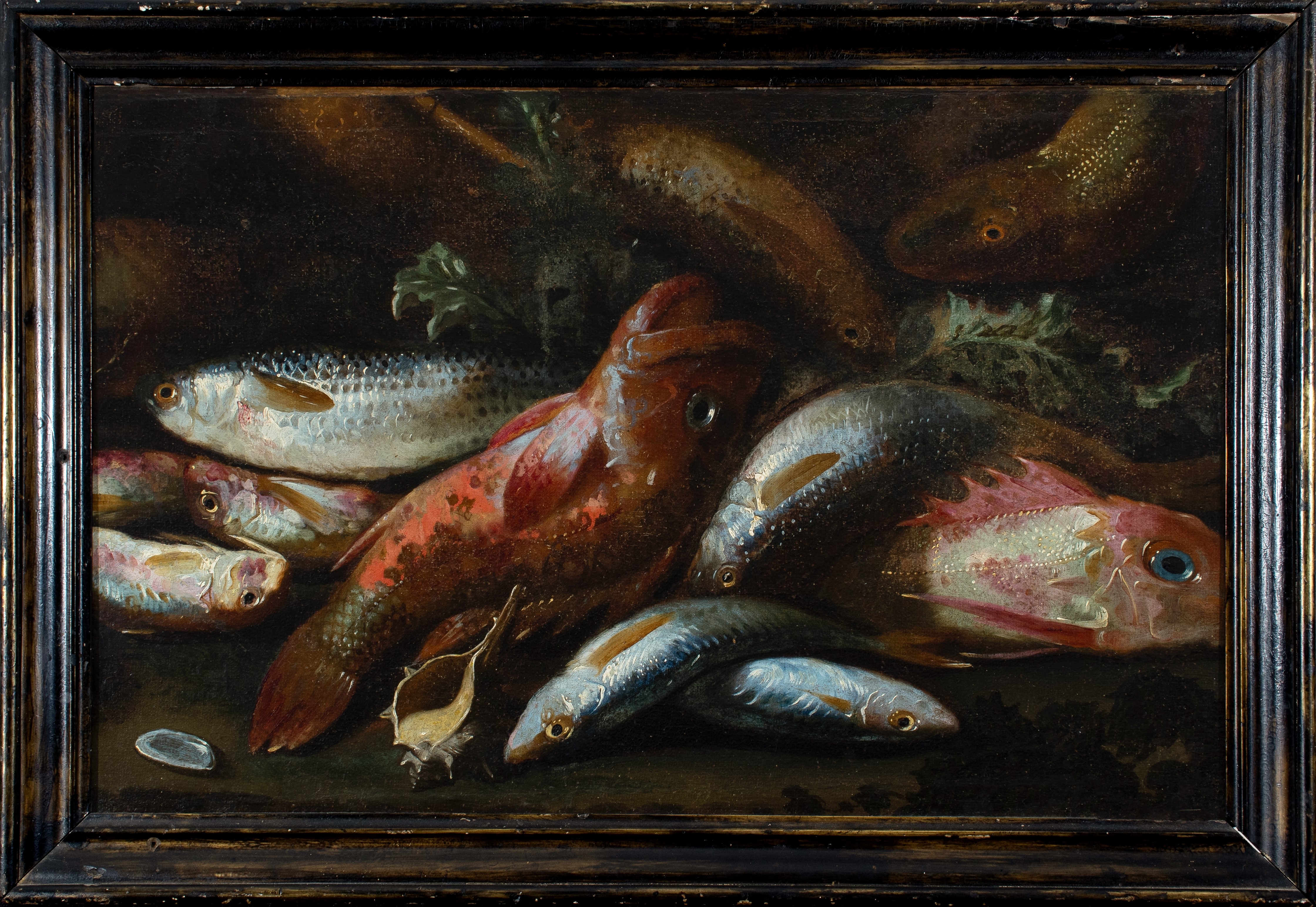 Giuseppe Recco | Still life with fish and sea shells | MutualArt