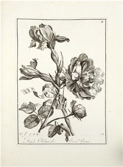 Livre de fleurs dessinées d’après nature - Jacques Vauquer