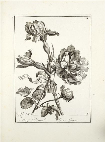 Livre de fleurs dessinées d’après nature - Jacques Vauquer