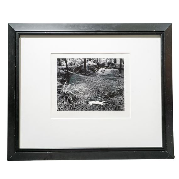 "Child in Forest" by Wynn Bullock, 1958