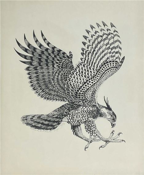 Rip Bodman | Hawk-Eagle | MutualArt