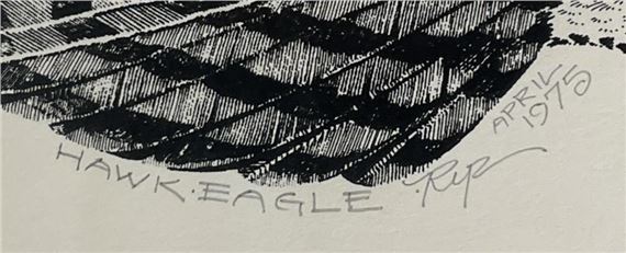 Rip Bodman | Hawk-Eagle | MutualArt