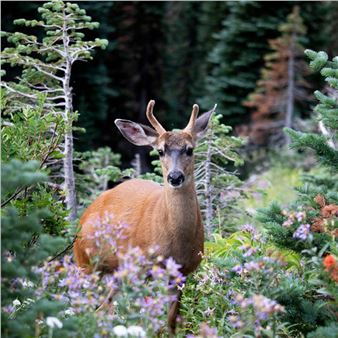 News & Nature: The Photography of Grey Collins – Grey Collins - Marblehead Arts Association
