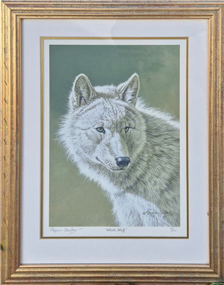 White Wolf - Stephen Gayford