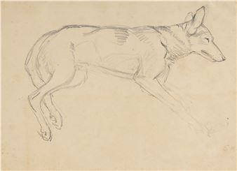 Schäferhund - Silvia Koller