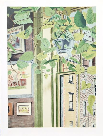 Hanging House Plant - Henry Fonda