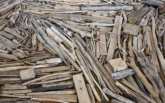 Richard Long: Satellites - Konrad Fischer Galerie, Dusseldorf
