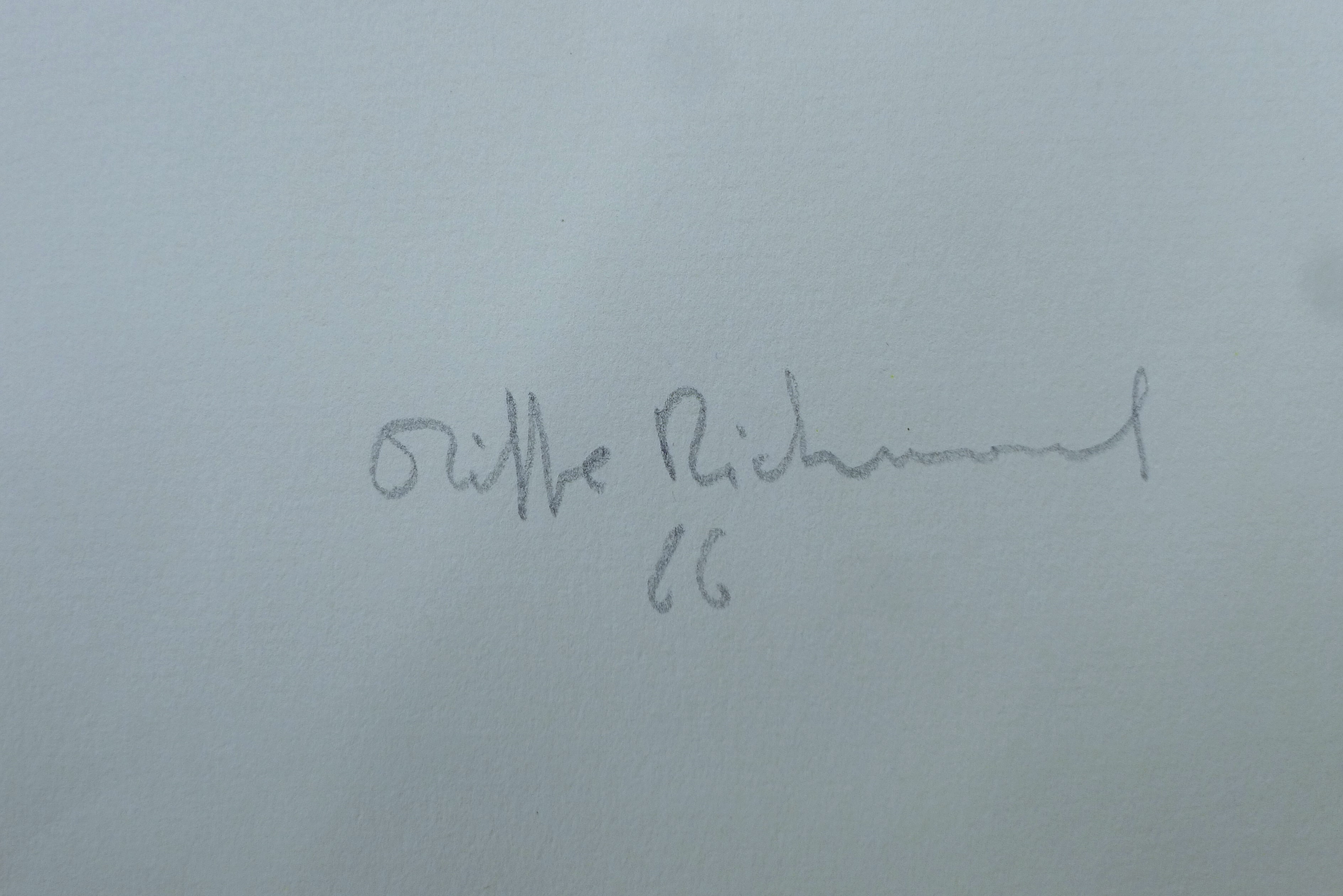 Artwork by Oliffe Richmond, Untitled, Made of lithographic prints on paper