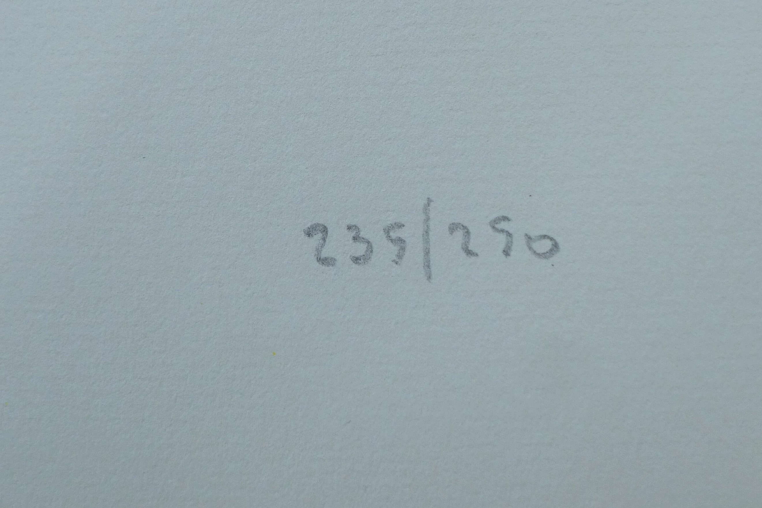 Artwork by Oliffe Richmond, Untitled, Made of lithographic prints on paper