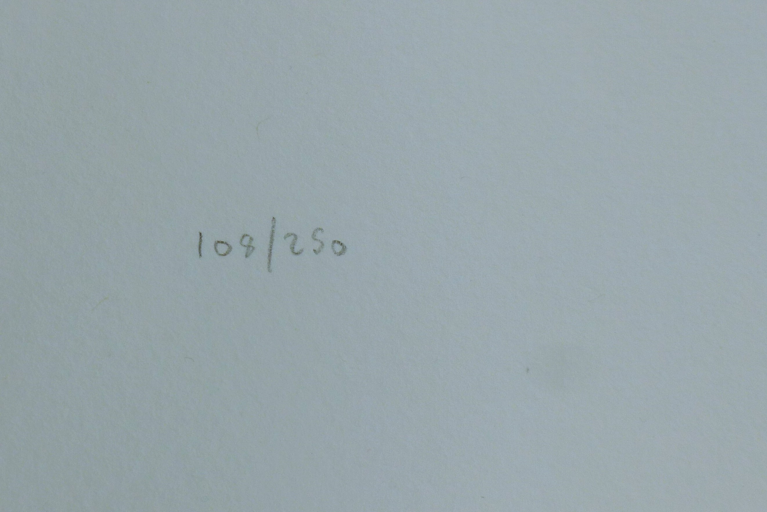 Artwork by Oliffe Richmond, Untitled, Made of lithographic prints on paper