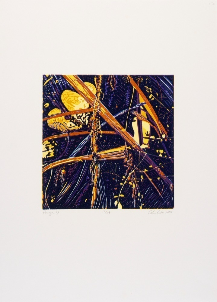 Colin Coke | Ponga IV (2006) | MutualArt