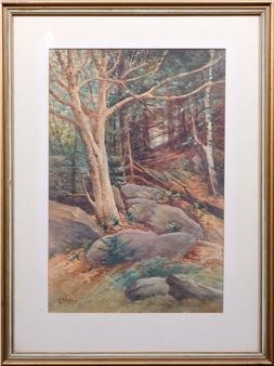 Wooded Glen - N. B. Munroe