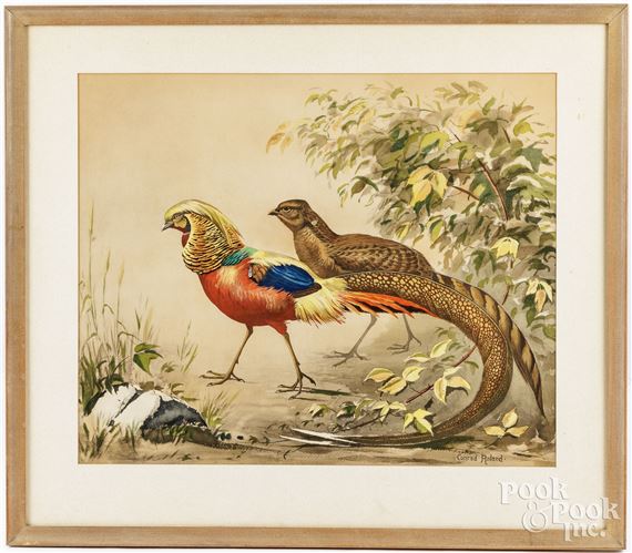 Conrad Roland | Conrad Roland watercolor of pheasants | MutualArt