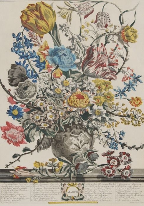 Artwork by Robert Furber, Twelve Months of Flowers - March and April), Made of Lithographs with Hand-Coloring