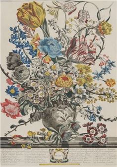 Twelve Months of Flowers - March and April) - Robert Furber