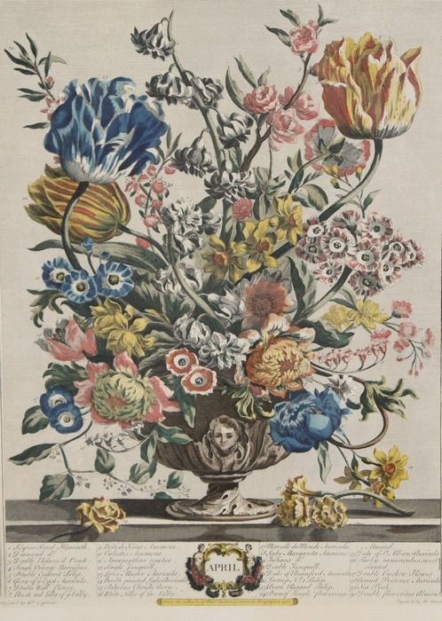 Artwork by Robert Furber, Twelve Months of Flowers - March and April), Made of Lithographs with Hand-Coloring