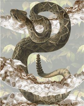 Starter Pack: Emerging Artists - Six Foot Gallery