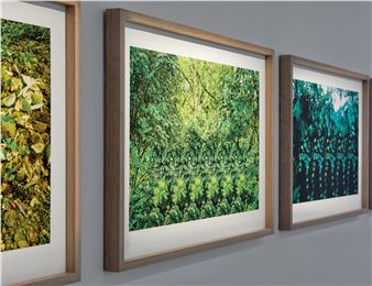 Inhabit Our Everything/Nothing - MAMA, Murray Art Museum Albury