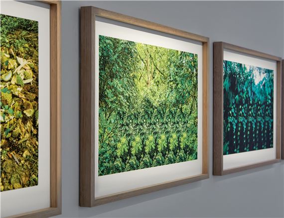 Inhabit Our Everything/Nothing - MAMA, Murray Art Museum Albury