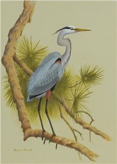 A realistic painting of a heron perched on a pine branch.