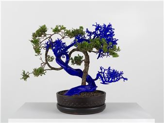 What to See in N.Y.C. Galleries in August