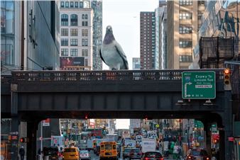 Frieze New York Ignites Art Lover Dream Experience